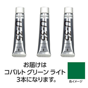 まとめ得 【3本×3セット】 ターナー色彩 U35 コバルトグリーンライト20ml TURNER108675X3 x [2個] /l