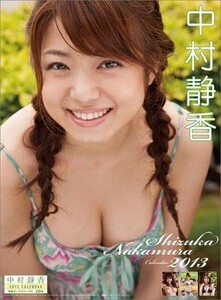 中村静香 2013カレンダー未開封品！