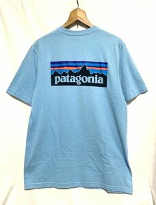 ☆ patagonia パタゴニア　P-6 Logo Pocket Responsibili Tee ロゴプリント ポケットTシャツ ライトブルー S