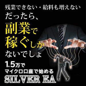 【数量限定!!!!!】バーチャルエントリー型 SILVER EA FX自動売買ツール シルバー MT4 自動売買システム 完全無料 副業 投資 不労所得 s2