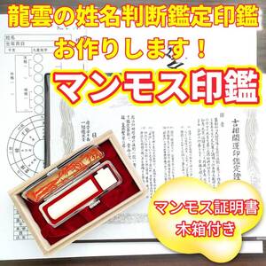 オーダー印鑑龍雲式★姓名判断鑑定書付★マンモス印鑑セット18mm