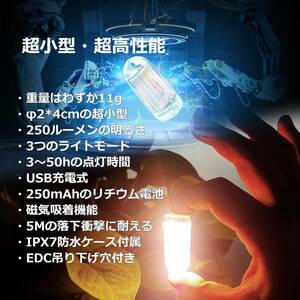 ☆超ミニ LEDライト 超軽量 新登場！ ユーザー好評 長寿命仕様