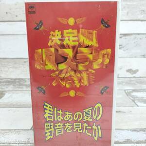 見本盤 未開封 VHS テープ 決定版 爆風スランプ 大全集 君はあの夏の野音を見たか