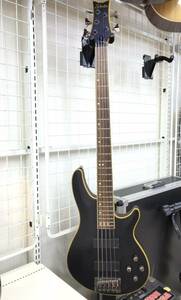 Schecter シェクター 5弦ベース C-5 CUSTOM ギグケース付き SS-248820