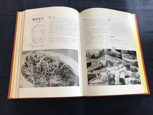 専門中国料理　1冊　図入り　検　お経写経写本唐本漢籍和本和書中国支那仏教真言密教密宗古本古書古文書漢詩漢文拓本医学漢方朝鮮