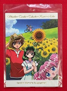 伝心 まもって守護月天!／桜野みねね トレーディングカード ドラマCD ご購入店頭特典用 非売品 当時モノ 希少　A15299