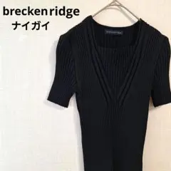 Se2491【breckenridge】ナイガイ　半袖リブカットソー　日本製
