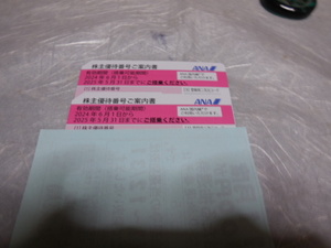 ＡＮＡ株主優待券‘２４年上期－搭乗割引券２枚　【令和６年６月１日～令和７年５月３１日】