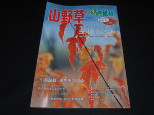 d2■山野草とミニ盆栽2005年秋　株分け＆秋の植え替え50種ガイド