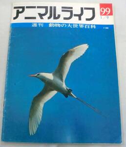 古書◆雑誌◆S48年 週刊アニマルライフ第９９号 ◆ ネッタイチョウ★ネズミイルカ★ネズミカンガルー★ネズミザメ★ネズミドリ★