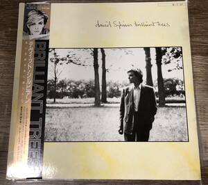 LP【New Wave】David Sylvian / Brilliant Trees【VIL-6114・84年国内盤帯付き・JAPAN・デヴィッドシルヴィアン・坂本龍一】