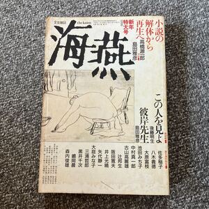 海燕 1990年1月号 平成2年 高橋源一郎 島田雅彦 黒井千次 辻邦生 野間宏 中村真一郎 矢代静一 小島信夫 日野啓三 佐多稲子 大原富枝 平出隆