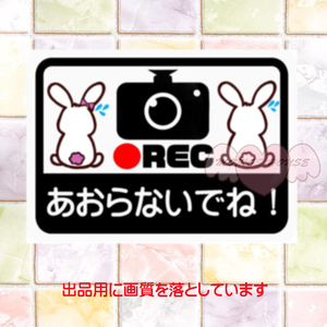 ⑧ 【あおらないでね！】 うさぎ の ステッカー横幅約12㎝ REC キッズインカー ドラレコ　セーフティサイン カーステッカー 録画中