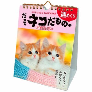 アクティブコーポレーション 2025年 カレンダー 卓上 だってネコだもの。 25ACL-567 2025年 1月始まり