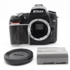 Nikon D90 ボディ ショット数2431