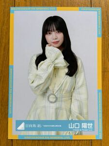 日向坂46 山口陽世 生写真 ②