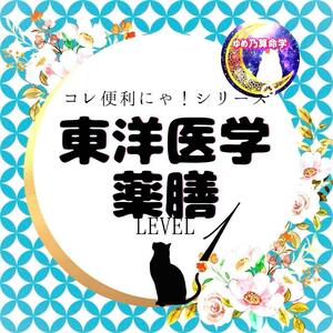 【便利】東洋医学・薬膳基本表　レベル１