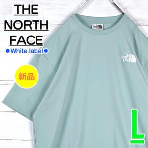 【新品・韓国限定 】　ノースフェイス　半袖　Tシャツ　ナイロン　ロゴ　緑　L