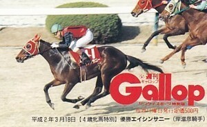 ●Gallop エイシンサニー 4歳牝馬特別テレカ