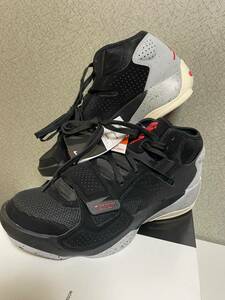 【未使用】NIKE ZION 2 PF ナイキ ザイオン 2 PF DM0858-060 27.5cm