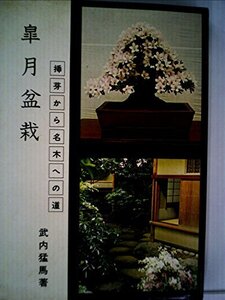 【中古】 皐月盆栽 (1974年)