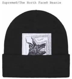 Supreme x The North Face Beanie Black 黒色