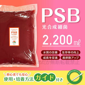 特濃縮★PSB　光合成細菌　2200ml　★　メダカ　めだか　クロレラ　金魚　熱帯魚　ミジンコ　ゾウリムシ　ミドリムシ　スポイト付き