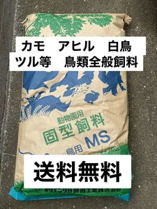 オリエンタル酵母　MS カモ　アヒル　白鳥等鳥類全般飼料　動物園用　10キロ　送料無料