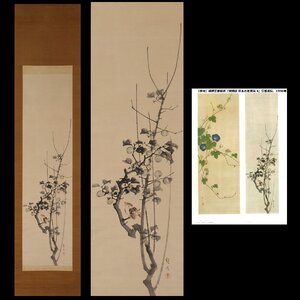 【深和】村瀬双石 青梅雀図竪物『日本の花鳥画6』所載（近世日本画 花鳥画 四条派 円山派 松村景文 横山清暉）