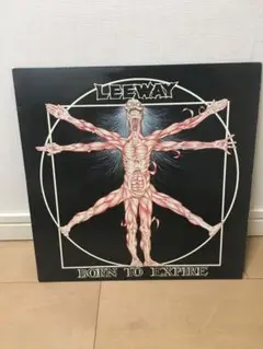 Leeway/born to expire