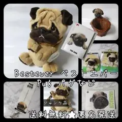 レア！ Bestever ベストエバー Pug パグの商品など【ヴィンテージ】