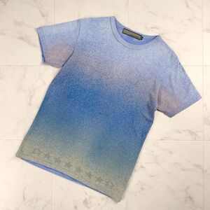 美品 AYUITE アユイテ モザイク クルーネック 半袖Tシャツ カットソー グラデーション トップス メンズ 青 ブルー系 サイズ2*PC589