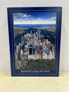 【中古・内袋未開封】：MEZZO FORTE 1000ピース ジグソーパズル キャシー・ヤコブセン「Regaredr Par La Fentre Parc Central」 (20241111)