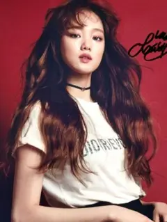 イ・ソンギョン直筆サイン入り超大型写真…Lee Sung-kyung…流れ星…