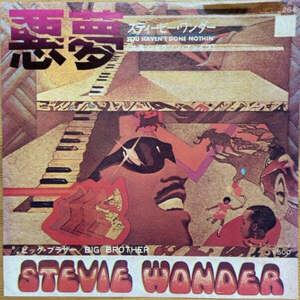 STEVIE WONDER YOU HAVEN