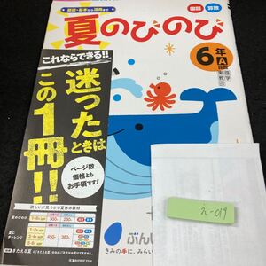 えー019 基礎・基本から活用まで 夏のびのび 国語 算数 ６年 ぶんけい 問題集 プリント 学習 ドリル 小学生 テキスト 教材 文章問題※7