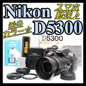 【希少色グレー＆ショット数4,620回＆初心者セット】Nikon ニコン D5300 デジタル一眼レフカメラ レンズセット #4960