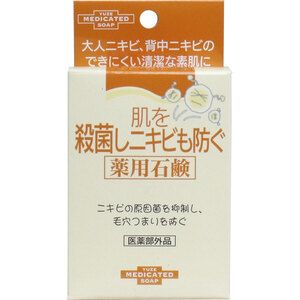 【まとめ買う】[12月25日まで特価]肌を殺菌しニキビも防ぐ薬用石鹸 １１０ｇ×6個セット