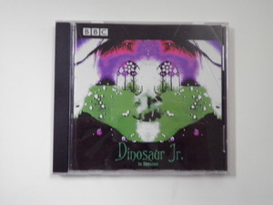 ○Dinosaur Jr./In Session