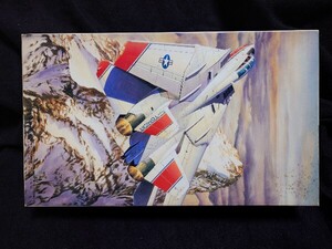 未組立品 フジミ模型 1/72 絶版Iシリーズ 戦闘機 プラモデル グラマン F-14D スーパートムキャット 当時物