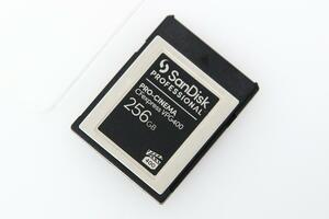 極美品｜サンディスク PRO-CINEMA CFexpressカード VPG400 Type-B 256GB γH3284-2D2C