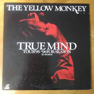 ◎LD～ THE YELLOW MONKEY ☆ TRUE MIND TUUR