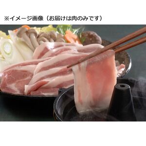 〔グルメギフト〕長野県産SPF豚 しゃぶしゃぶ用 ロース500g