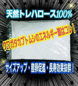 クワガタ・カブトムシのエネルギー源！トレハロース【3袋】マットや菌糸・ゼリーに混ぜるだけでサイズアップ、産卵数アップ、長寿効果抜群