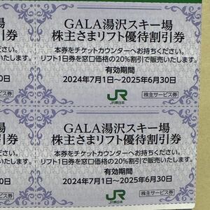 JR東日本株主優待サービス券 GARA湯沢スキー場株主さまリフト優待割引券 【2枚】有効期限2025年6月30日