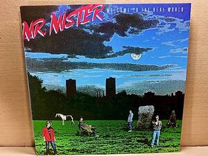 MR. MISTER/Mr. ミスター/Welcome To The Real World/LP/Pages