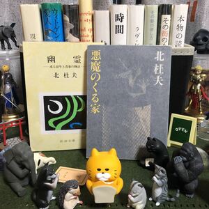 幽霊 悪魔のくる家 北杜夫