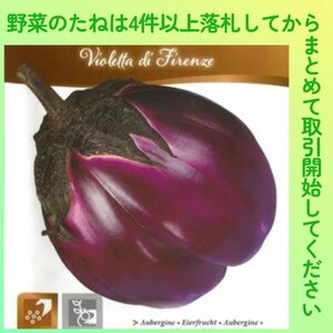 4件以上落札◆イタリアナス種◆フィレンツェ 13粒◆固定種イタリアンナス フィレンチェなす丸茄子