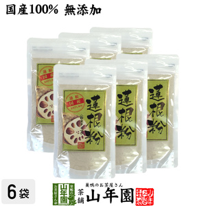 健康食品 蓮根粉 100g×6袋セット 国産 無添加 れんこん粉 レンコンパウダー 蓮根粉末 送料無料