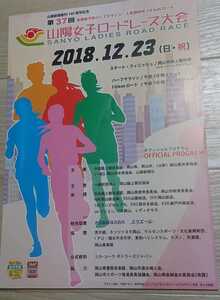 第37回山陽女子ロードレース大会パンフレット・山陽新聞創刊140周年記念・有森裕子杯・人見絹枝杯・2018.12.23 マラソン・陸上